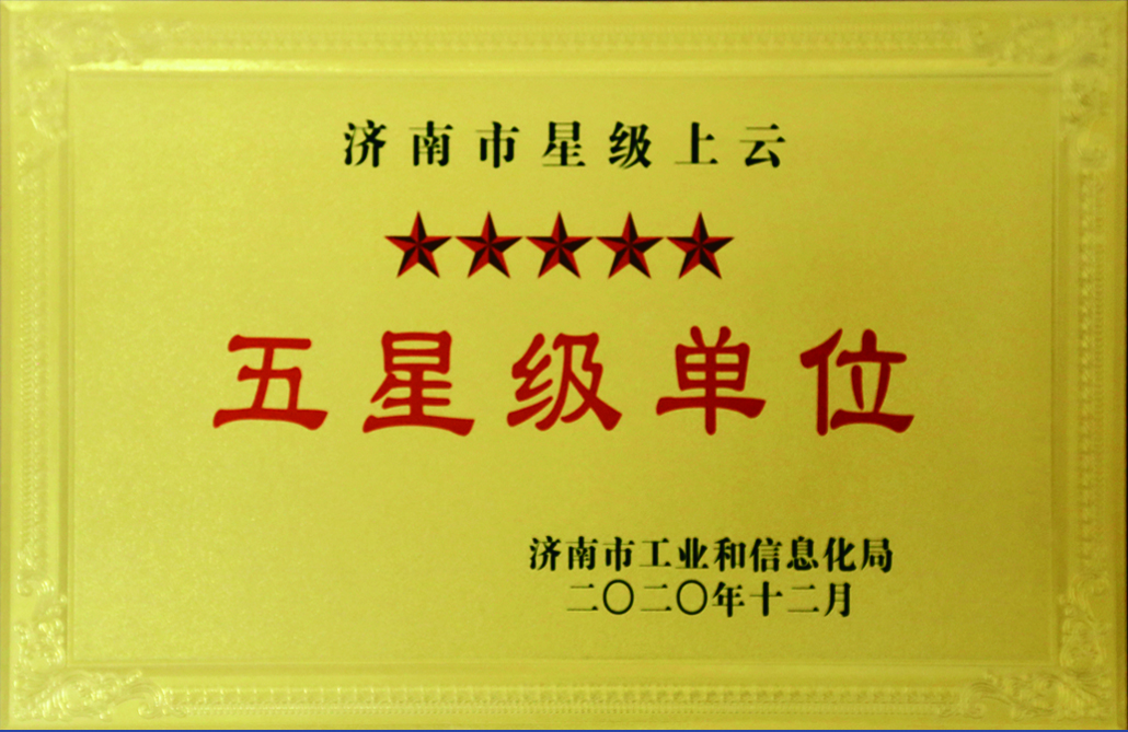 五星级单位